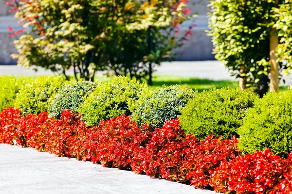 Landscaping Park Building Note Shallow Depth Field — Stock Photo, Image