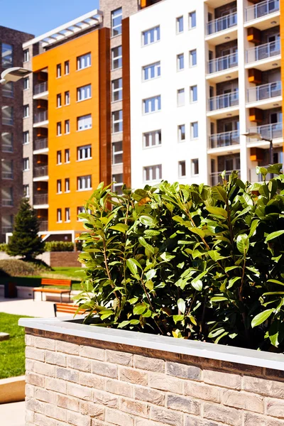 Jardiniera Ladrillos Frente Del Edificio Nota Poca Profundidad Campo — Foto de Stock