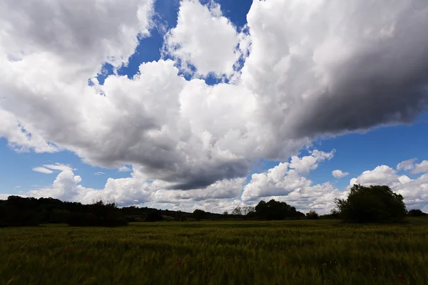 Çelik takviye çubuğu