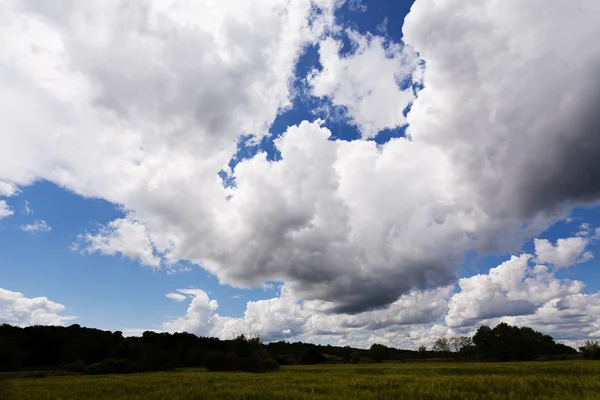 Çelik takviye çubuğu