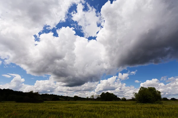 Çelik takviye çubuğu