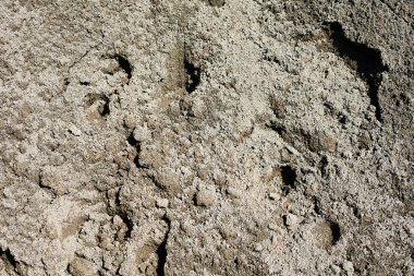 Takviye ayrıntı portre