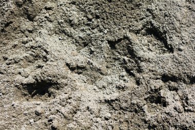 Takviye ayrıntı portre