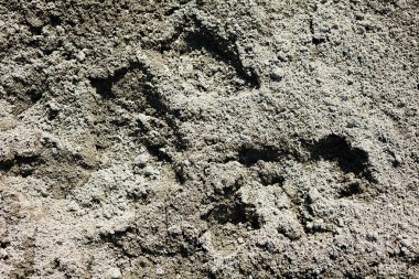 Takviye ayrıntı portre