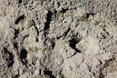 Takviye ayrıntı portre