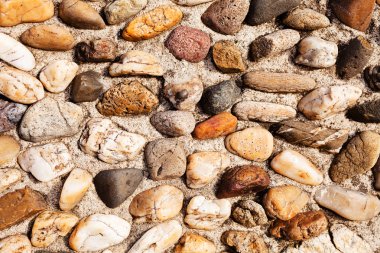 Takviye ayrıntı portre