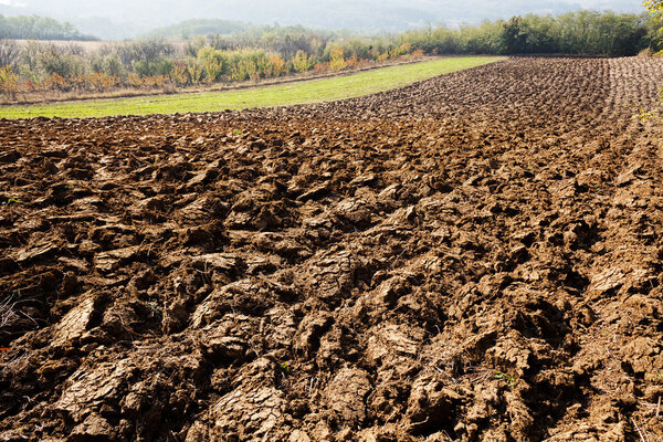 steel reinforcement  reinforcing bar