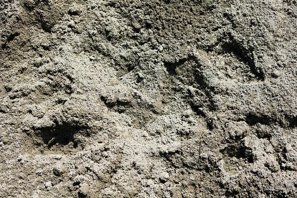 Takviye ayrıntı portre