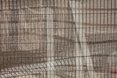 Küçük plastik ağlardan ve içi boş metal çitlerden korunan tenteler, sığ alan derinliğine dikkat edin.