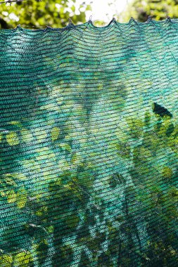 İnşaatta küçük yeşil güvenlik ağı