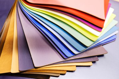 Eko deri renk örnekleri kataloğu, Not alan sığ derinliği