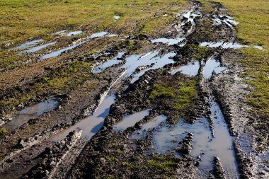 Sonbaharda çamurlu kır yolu, sığ alan derinliğine dikkat edin.