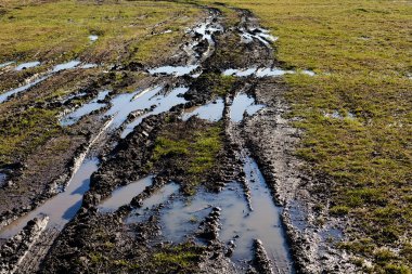 Sonbaharda çamurlu kır yolu, sığ alan derinliğine dikkat edin.