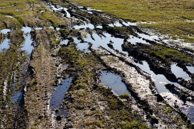 Sonbaharda çamurlu kır yolu, sığ alan derinliğine dikkat edin.