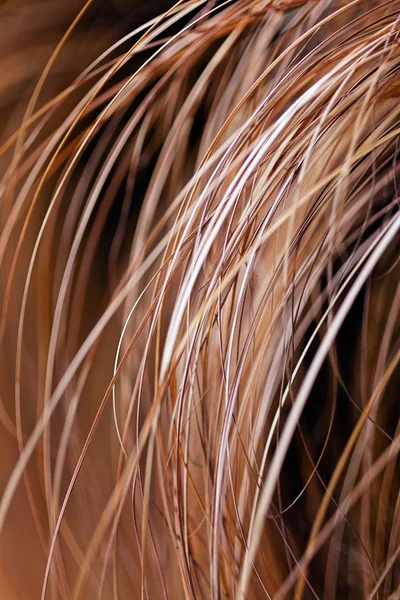 Abstract Long Bent Dry Grass Nature Note Shallow Depth Field — Stock Photo, Image