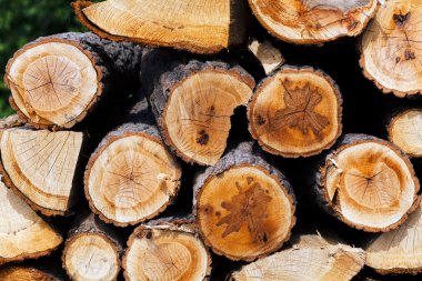 Yığının içindeki ahşap kütükler, derin alan derinliğine dikkat edin.