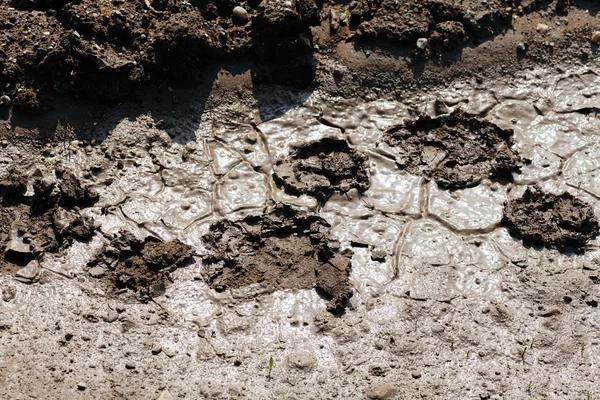 Fußabdrücke Schlamm Der Natur Beachten Sie Die Geringe Schärfentiefe — Stockfoto