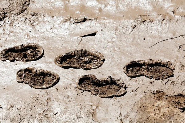 Huellas Barro Naturaleza Nota Poca Profundidad Campo — Foto de Stock