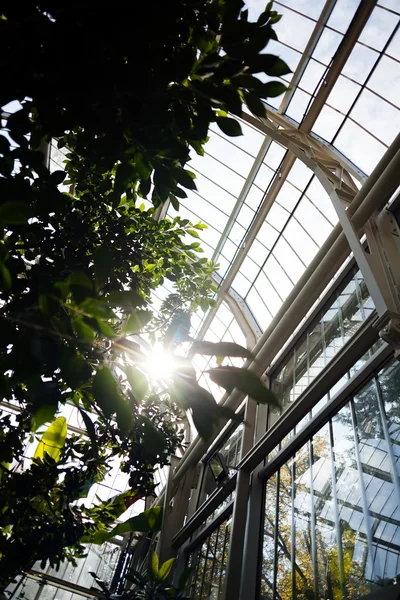  Birçok bitki ve süslemeli botanik bahçesi, sığ alan derinliğine dikkat edin.