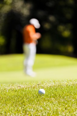 Ağaçları saran, Not alan sığ derinliği ile Golf Sahası