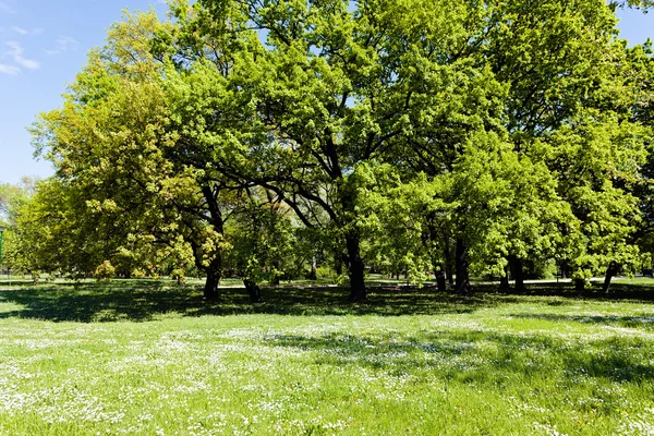 Landscaping Park Spring Note Shallow Depth Field — Stock Photo, Image