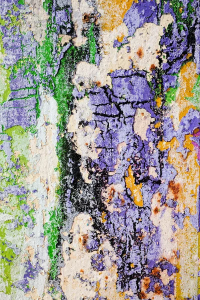 hasarlı duvar boya artıkları, not alan sığ derinliği