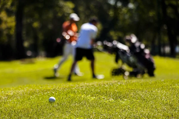 Fák Körül Megjegyzés Sekély Mélység Ból Mező Golfpálya — Stock Fotó