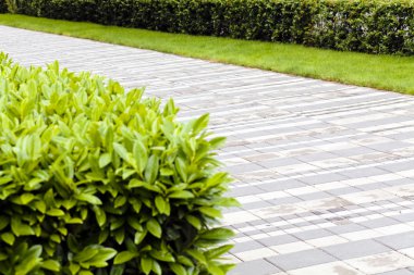 Asfaltlı gezinti güvertesi, alanın sığ derinliğine dikkat edin