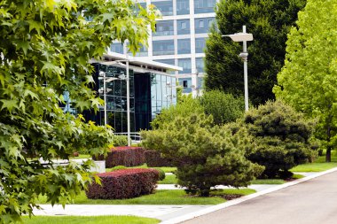 ticari binalar önünde parkta dekorasyon