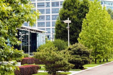 ticari binalar önünde parkta dekorasyon