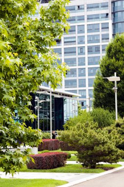 ticari binalar önünde parkta dekorasyon