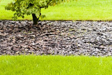 parkta ağaçların çevresinde çevre düzenlemesi, not alan sığ derinliği