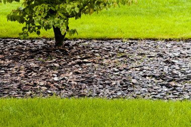 parkta ağaçların çevresinde çevre düzenlemesi, not alan sığ derinliği