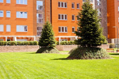 Evergreen Parkı civarı binanın, Not alan sığ derinliği ağacında organize