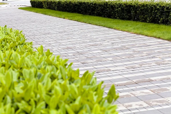 Calçadão Pavimentado Nota Profundidade Rasa Campo — Fotografia de Stock