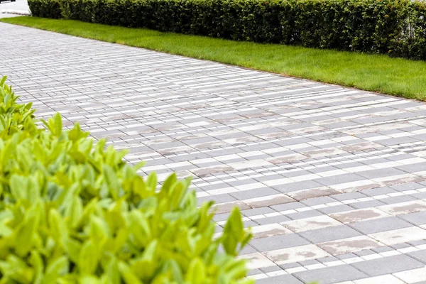 Passeggiata Lastricata Nota Profondità Campo Poco Profonda — Foto Stock