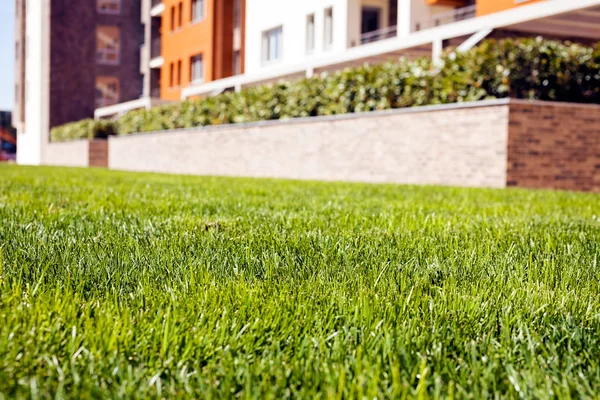 Μεγάλο Jardiniera Των Τούβλων Διακοσμητικά Θάμνος Μπροστά Στο Κτίριο Σημείωση — Φωτογραφία Αρχείου