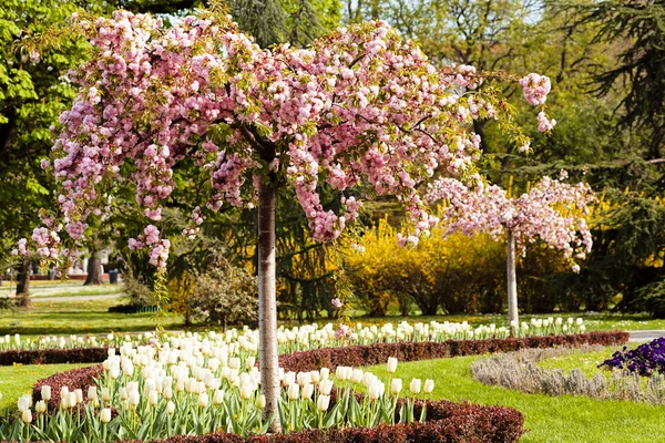 Paisajismo del parque — Foto de Stock