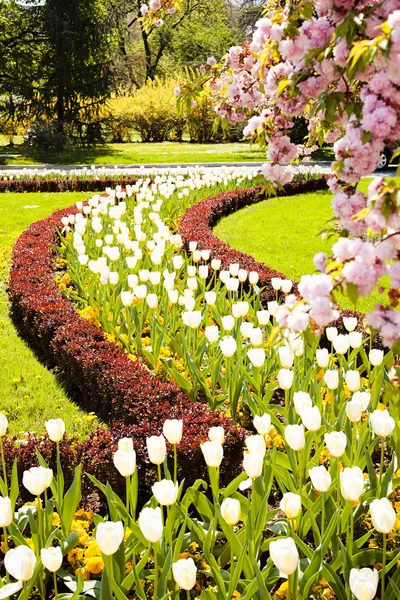 Paisajismo Del Parque Con Árboles Flores Nota Poca Profundidad Campo — Foto de Stock