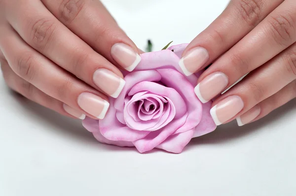 Delicata manicure francese con una rosa in mano — Foto Stock