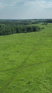 İnsansız hava aracı manzarası. Yazın tarlalar ve ormanlar