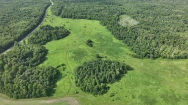 İnsansız hava aracı manzarası. Yazın tarlalar ve ormanlar