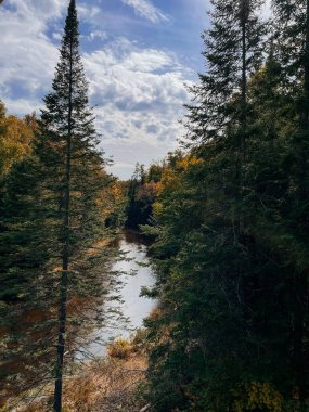 Nehirli güzel bir sonbahar ormanı ve beyaz bulutlu mavi bir gökyüzü. Algonquin Parkı, Kanada.