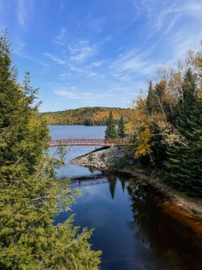 Ormandaki bir gölün üzerindeki bir köprünün sonbahar manzarası. Algonquin Parkı, Kanada.