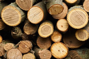 Çok güzel odun kesme.