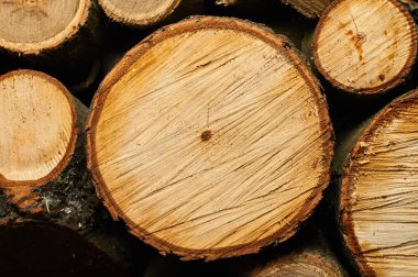 Çok güzel odun kesme.