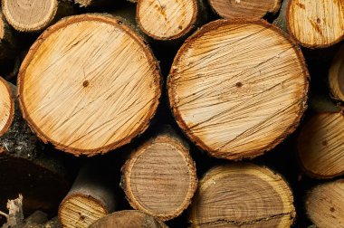 Yakacak odun komik namlu.