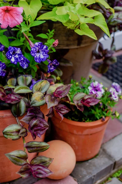 Hermoso porche decorado de una casa privada, flores de colores en grandes ollas de barro, banco vintage, inventario vintage . — Foto de Stock