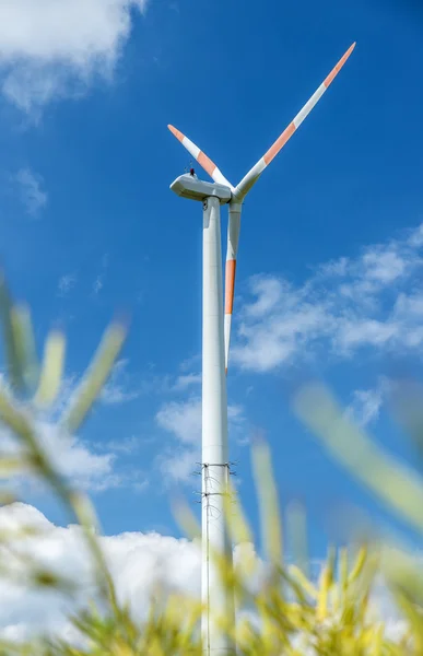 Szélturbina energiát termel — Stock Fotó