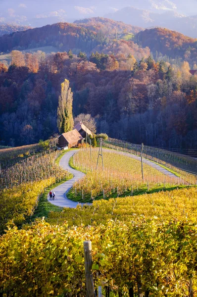 Slovenya kalbinde